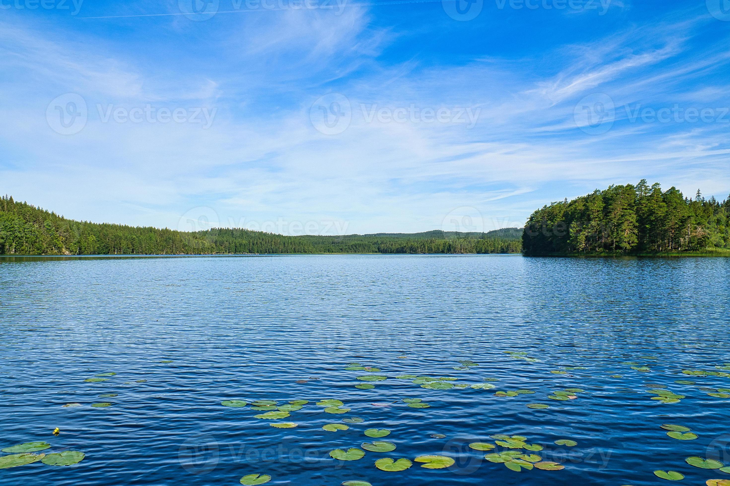 Water Lake at Urban Green Agro Farms
